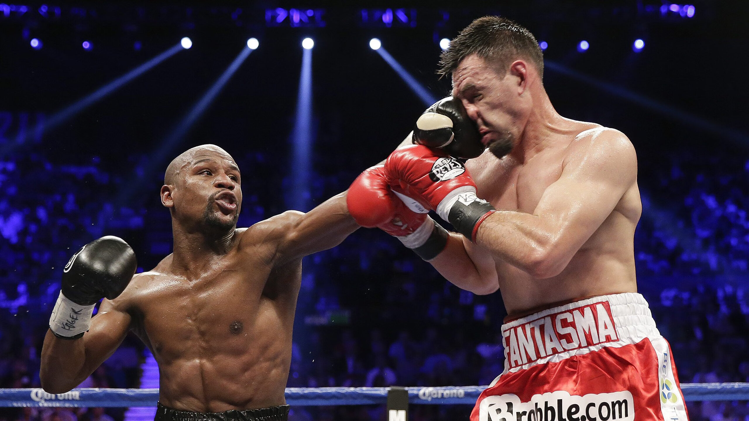 张伟丽表示将用行动回应外界期待，张伟丽最新消息回国了吗